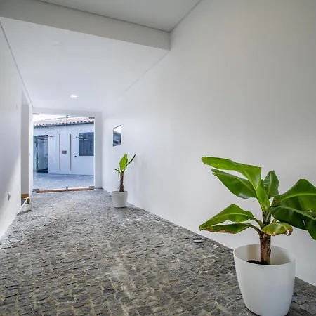 Holiday home Carvao Pdl Arrifes