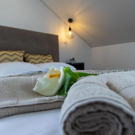 Carvao Pdl * Arrifes