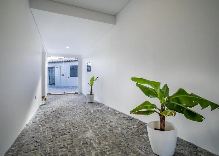 בית נופש Carvao Pdl Arrifes